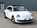 Volkswagen Beetle 1.6 tdi 105 ch Fender Edition Blanc - thumbnail 2
