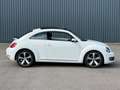 Volkswagen Beetle 1.6 tdi 105 ch Fender Edition Blanc - thumbnail 7
