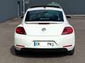 Volkswagen Beetle 1.6 tdi 105 ch Fender Edition Blanc - thumbnail 6