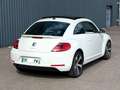Volkswagen Beetle 1.6 tdi 105 ch Fender Edition Blanc - thumbnail 5