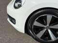 Volkswagen Beetle 1.6 tdi 105 ch Fender Edition Blanc - thumbnail 18