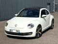 Volkswagen Beetle 1.6 tdi 105 ch Fender Edition Blanc - thumbnail 1