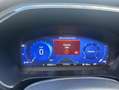 Ford Kuga 2.0 EcoBlue Aut. ST-LINE X Pano AHZV ACC Zwart - thumbnail 12