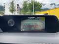 Lexus UX 250h 4x4, Advanced 8-fach bereift Schwarz - thumbnail 24