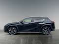 Lexus UX 250h 4x4, Advanced 8-fach bereift Schwarz - thumbnail 2