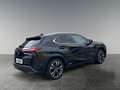 Lexus UX 250h 4x4, Advanced 8-fach bereift Schwarz - thumbnail 5
