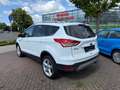 Ford Kuga Titanium Xenon/Navi/T-Leder/Kamera Weiß - thumbnail 4