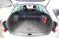 Skoda Octavia Elegance*BIXENON*MFL*SHZ*PDC*LEDER*GRA* Weiß - thumbnail 13
