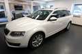 Skoda Octavia Elegance*BIXENON*MFL*SHZ*PDC*LEDER*GRA* Weiß - thumbnail 2