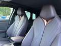 CUPRA Terramar VZ 2.0 TSI 7-Gang DSG 4Drive Schwarz - thumbnail 34