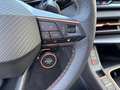 CUPRA Terramar VZ 2.0 TSI 7-Gang DSG 4Drive Schwarz - thumbnail 28