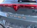 CUPRA Terramar VZ 2.0 TSI 7-Gang DSG 4Drive Schwarz - thumbnail 10