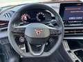 CUPRA Terramar VZ 2.0 TSI 7-Gang DSG 4Drive Schwarz - thumbnail 25