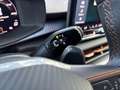 CUPRA Terramar VZ 2.0 TSI 7-Gang DSG 4Drive Schwarz - thumbnail 38