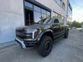 Ford F 150 Ford F-150 Raptor 37" Paket 3.5l EcoBoost sofort Green - thumbnail 2