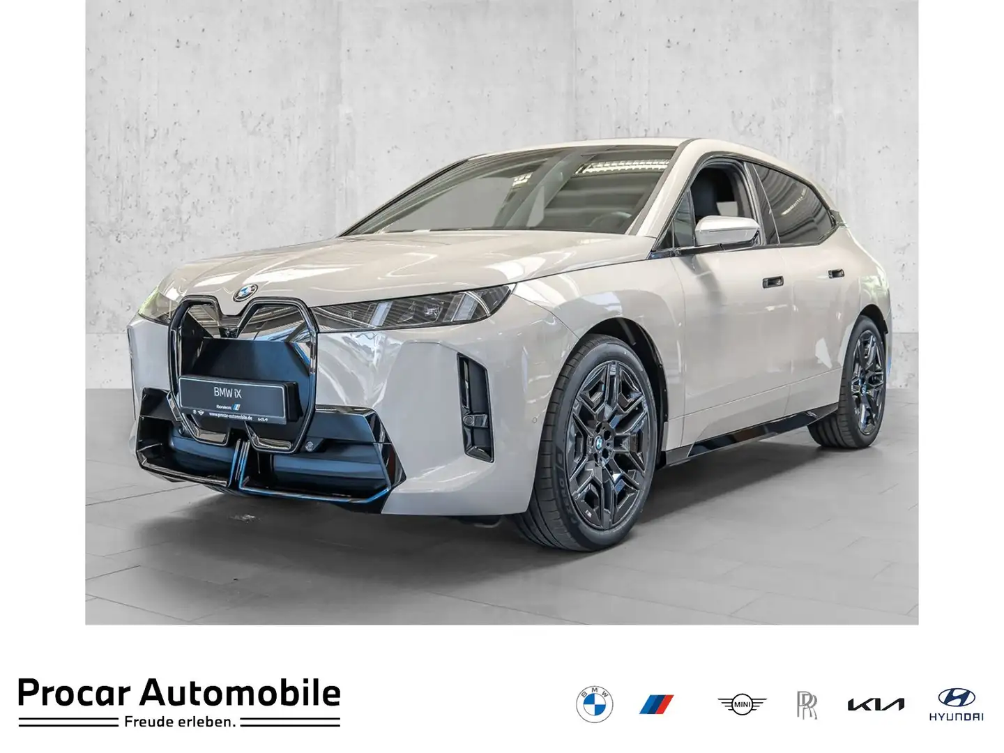 BMW iX xDrive45 M Sport Pro 2-ACHS LUFT PA PROF ICONIC GL Gris - 1