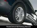 Porsche Cayenne LED-Matrix Abstandstempomat Luftfederung Albastru - thumbnail 7