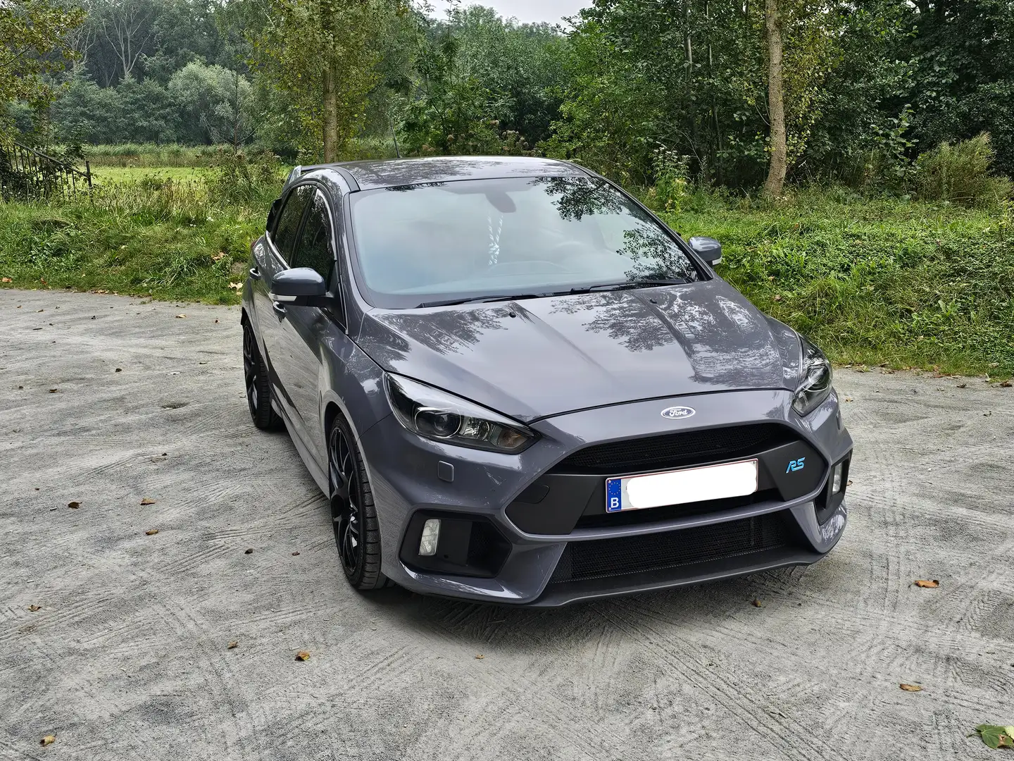 Ford Focus Focus+2.3+EcoBoost+S Gris - 2