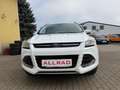 Ford Kuga Kuga 2,0 TDCi Titanium 4x4 Aut. Titanium Weiß - thumbnail 6