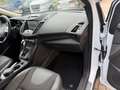 Ford Kuga Kuga 2,0 TDCi Titanium 4x4 Aut. Titanium Weiß - thumbnail 17