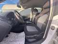 SEAT Ibiza Reference Weiß - thumbnail 11