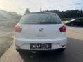 SEAT Ibiza Reference Weiß - thumbnail 5