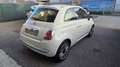 Fiat 500 1.2 GQ 69cv E6 pelle cerchi da 16 Bianco - thumbnail 4
