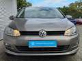 Volkswagen Golf VII 1.4 TSI "ALLSTAR" *STDHZG*ACC* Grigio - thumbnail 3