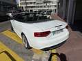Audi Cabriolet 3.0 V6 TFSI 333CH QUATTRO S TRONIC 7 Blanco - thumbnail 3