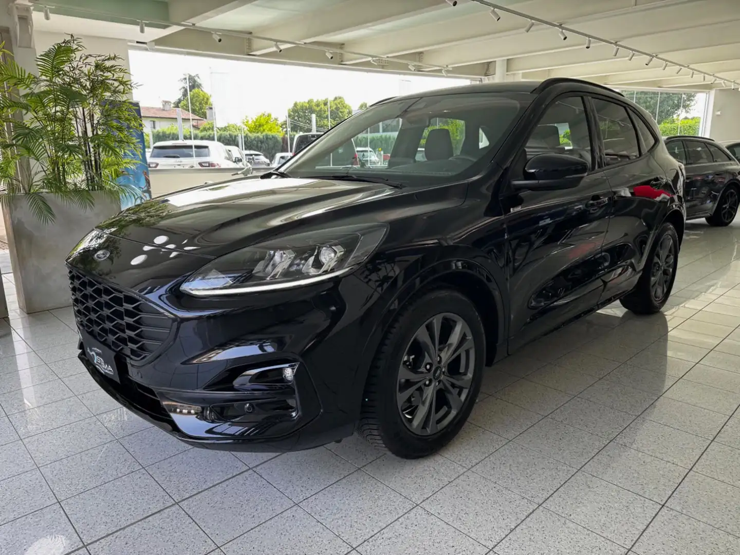 Ford Kuga FORD Kuga 2.0 EcoBlue 120 CV aut. 2WD ST-Line - V Gris - 1