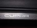 CUPRA Terramar 1.5 eTSI DSG 299,-ohne Anzahlung ACC Navi Head-up Schwarz - thumbnail 16