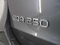 Mercedes-Benz EQA 250 AMG Line 67 kWh | Sport Edition | 20 inch | Direct Grau - thumbnail 47