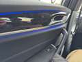 BMW 530 e xDrive M Sport, Rückfahrkamera Grau - thumbnail 19