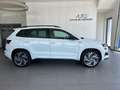 Skoda Karoq 2.0 TDI Sportline 4x4 (EURO 6d) Weiß - thumbnail 5