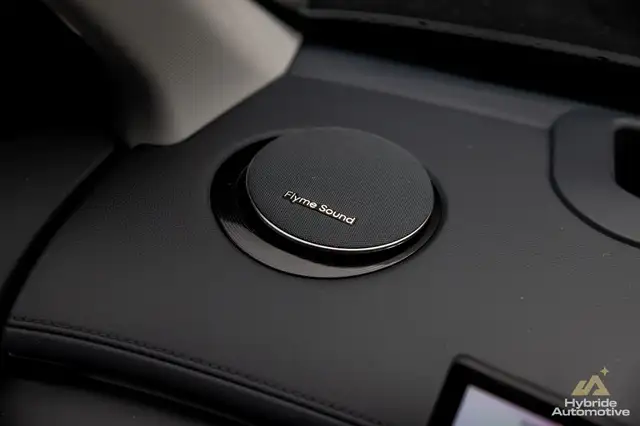 Geely Starray Em-I view 17