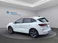 Ford Kuga ST-LINE 2,5L DURATEC VOLLHYBRID 180PS Weiß - thumbnail 8