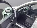 Ford Kuga ST-LINE 2,5L DURATEC VOLLHYBRID 180PS Weiß - thumbnail 10