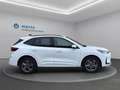 Ford Kuga ST-LINE 2,5L DURATEC VOLLHYBRID 180PS Weiß - thumbnail 5