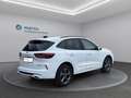 Ford Kuga ST-LINE 2,5L DURATEC VOLLHYBRID 180PS Weiß - thumbnail 6