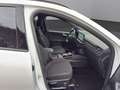 Ford Kuga ST-LINE 2,5L DURATEC VOLLHYBRID 180PS Weiß - thumbnail 19