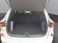 Ford Kuga ST-LINE 2,5L DURATEC VOLLHYBRID 180PS Weiß - thumbnail 22