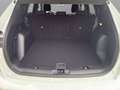 Ford Kuga ST-LINE 2,5L DURATEC VOLLHYBRID 180PS Weiß - thumbnail 23