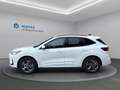 Ford Kuga ST-LINE 2,5L DURATEC VOLLHYBRID 180PS Weiß - thumbnail 9