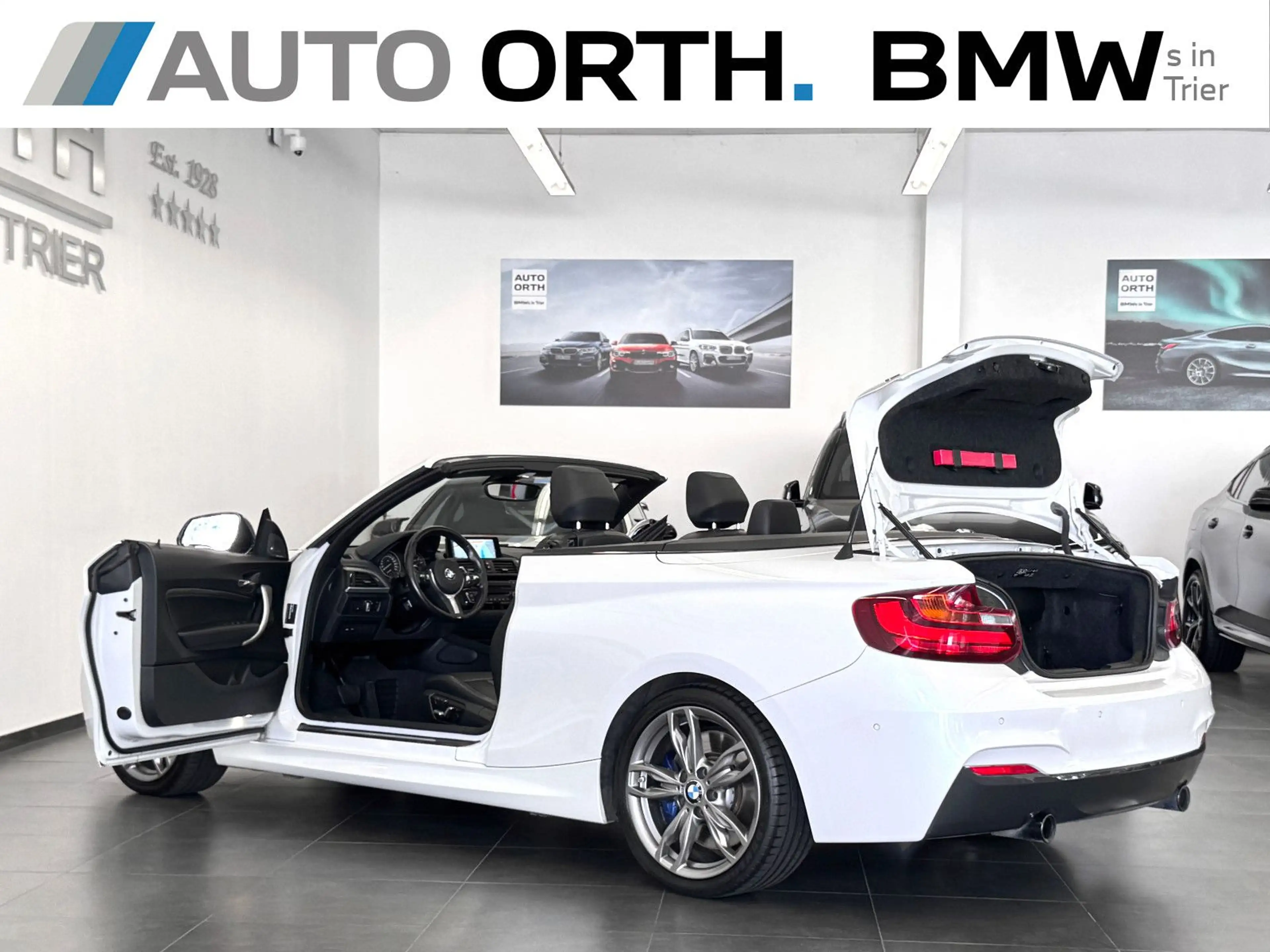 BMW 235 xDrive Cabrio LEDER NAVI-P XEN KAMERA h/k — photo 11