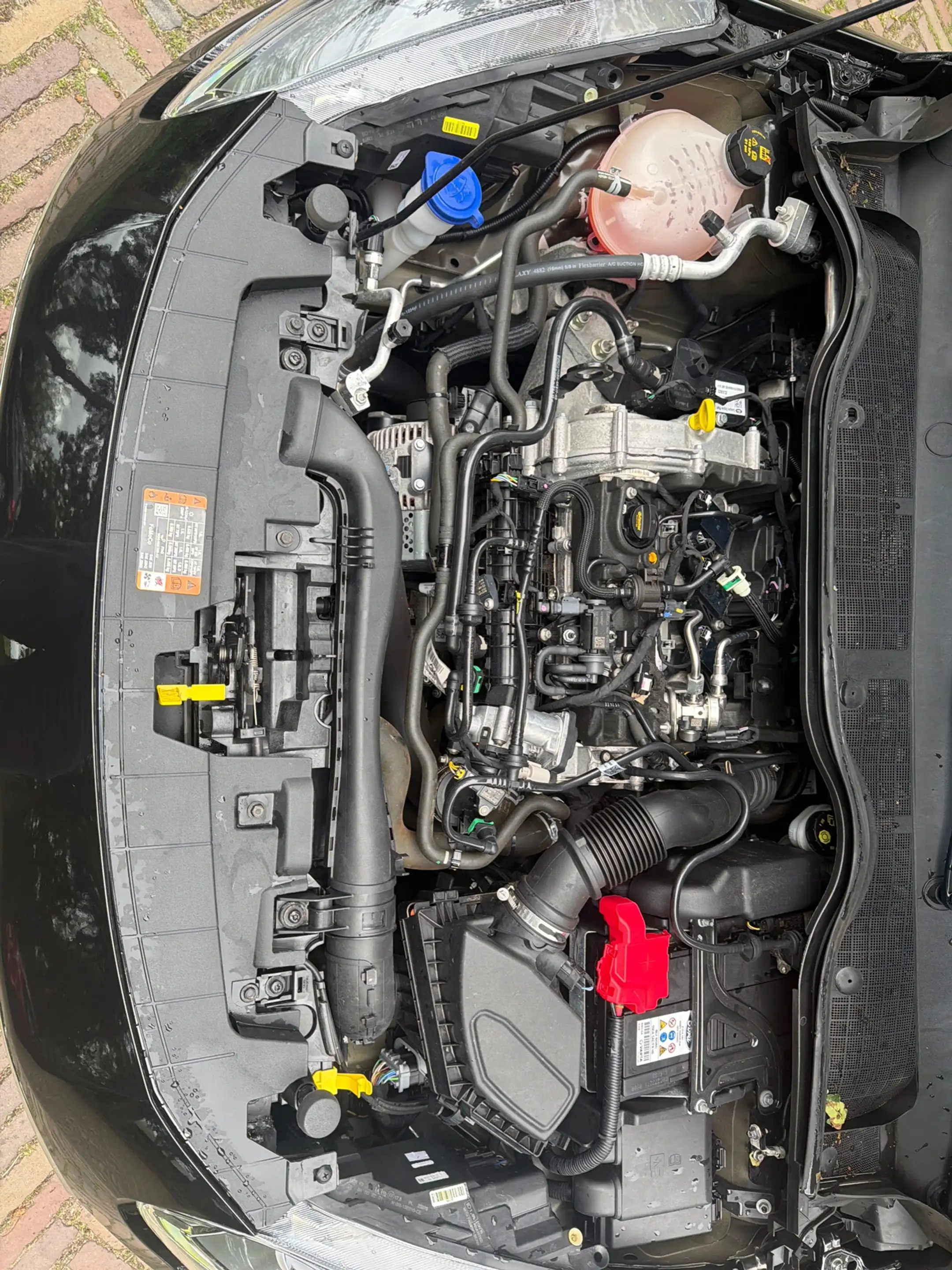 Ford Fiesta 1.0 EcoBoost Hybrid Titanium X. Wij zijn altijd de — photo 10