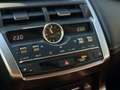 Lexus NX 300 NX 300h 2.5 Luxury 4wd cvt TAGLIANDI CERT. LEXUS Schwarz - thumbnail 20