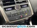 Lexus NX 300 300h Corporate 2WD Rojo - thumbnail 32