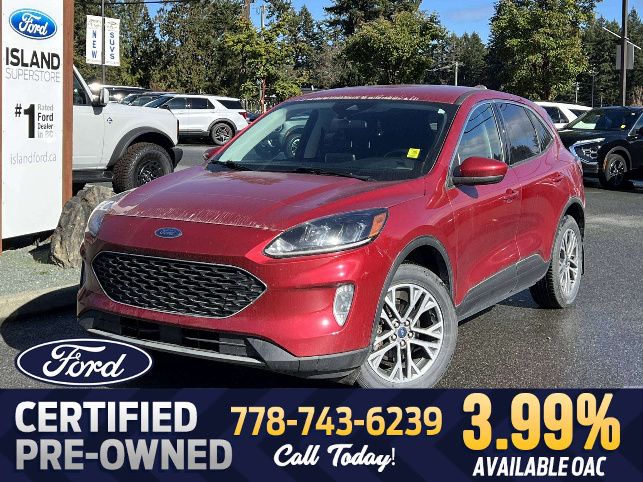 Red 2022 Ford Escape Hybrid SUV / Crossover All-Wheel Drive Automatic