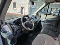 Ford Transit Kasten 350 L2H2 Automatik FOLIERT Weiß - thumbnail 7