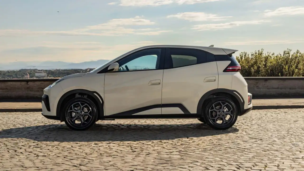 BYD DOLPHIN SURF